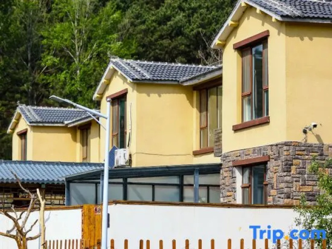 Beijing Catree B&B