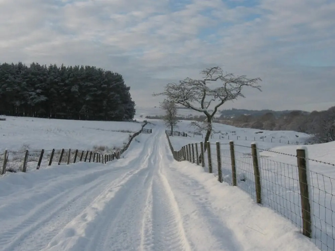 Bridgeford Farm