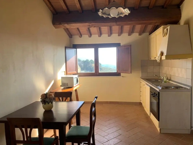 1 Bedroom Apartment with view