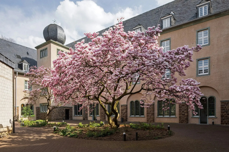 Kardinal Schulte Haus