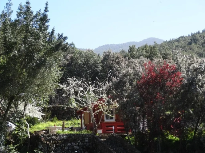 1 Bedroom Double Cottage