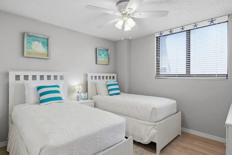 Sand Dollar 501