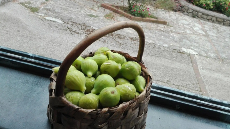 Agriturismo Mare e Monti