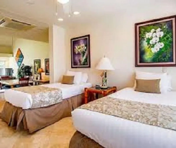 Standard Double Basement room
