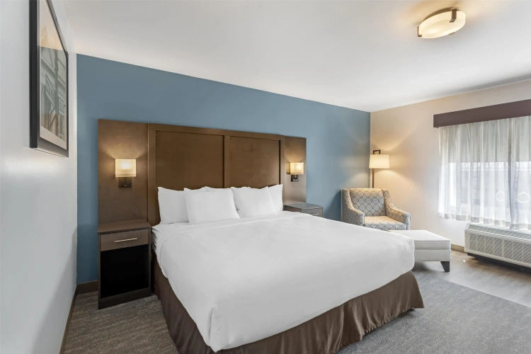 Standard Double room