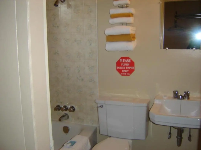 1 Bedroom Suite