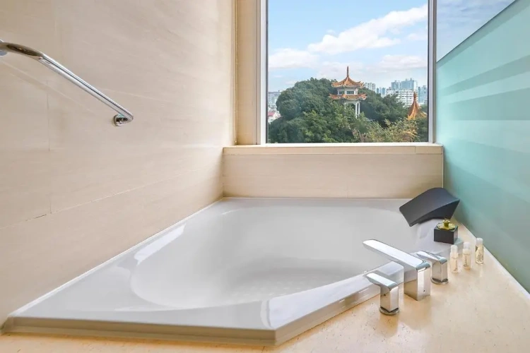 Premium Twin room with city view