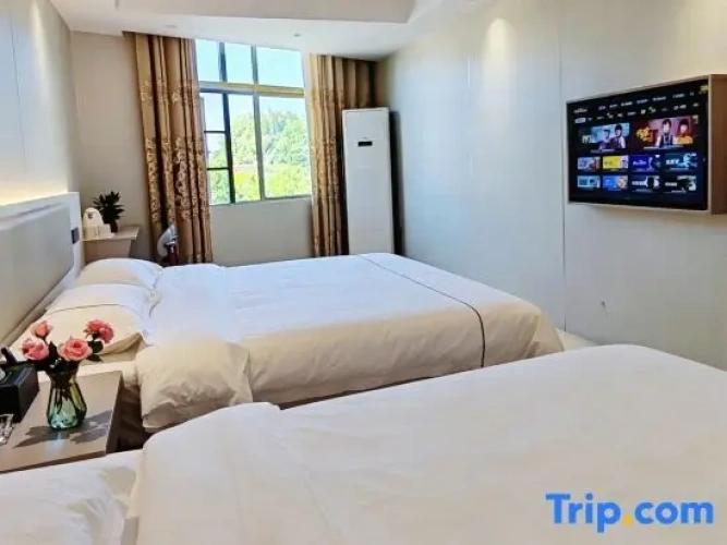 Standard Twin Family room