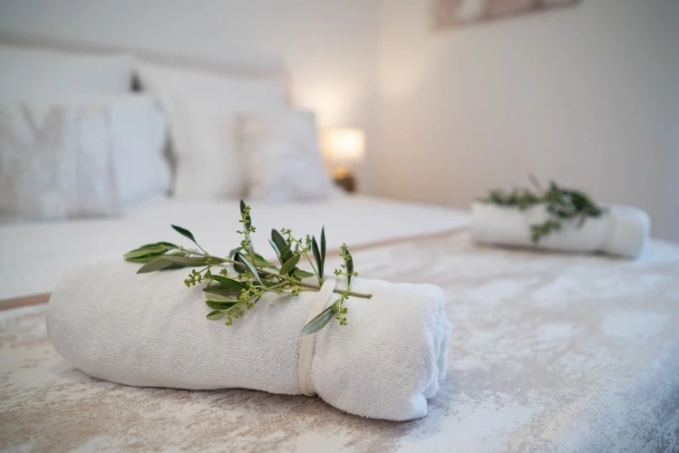 Comfort Apartment