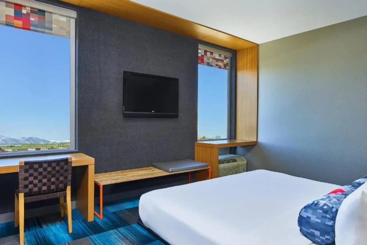1 Bedroom Suite