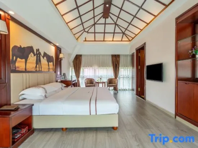 Duplex Suite
