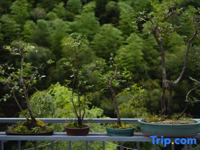 Anji Jiya Garden Homestay