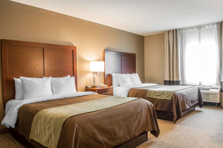 Quadruple Suite