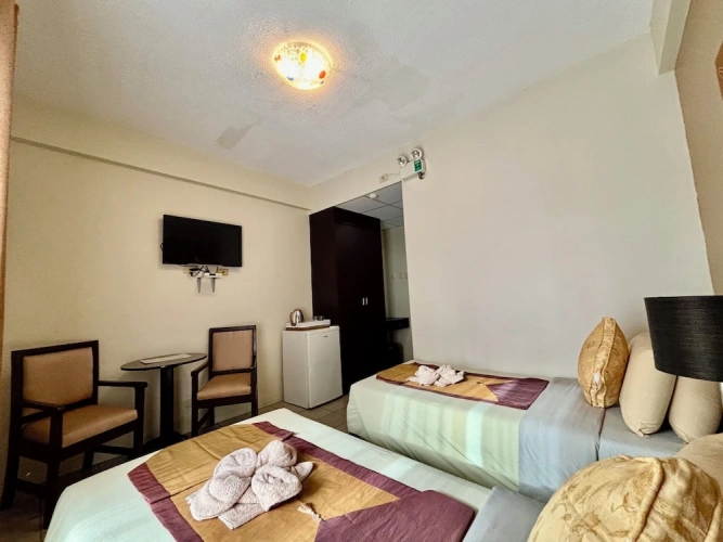 Deluxe Twin room