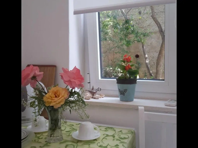Standard Double room with garden view