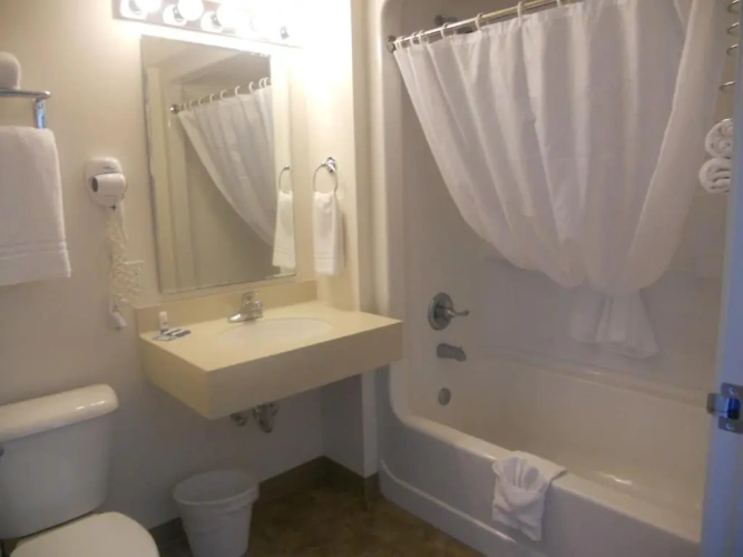 Quadruple Suite