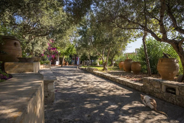 Orionas Village