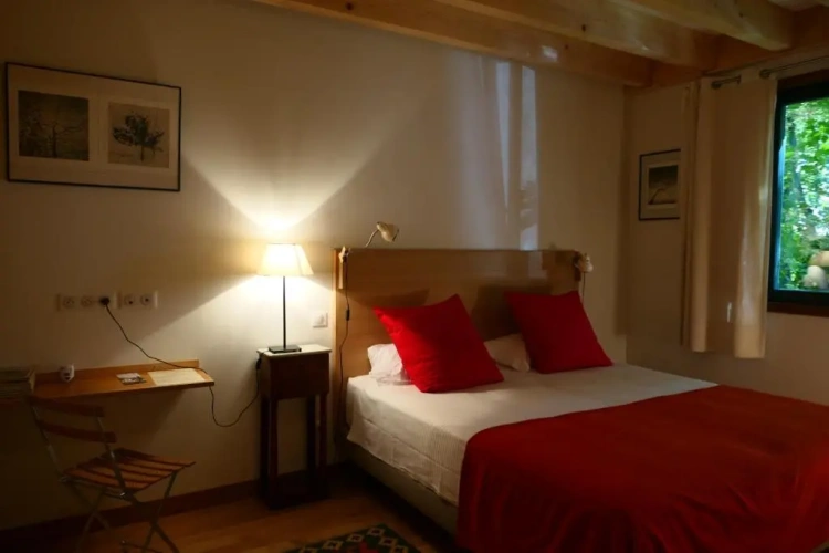 Standard Double room with garden view