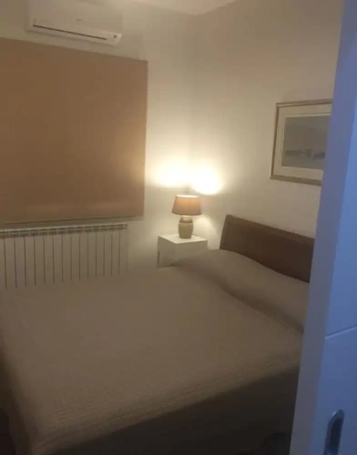 Luxury Apartment