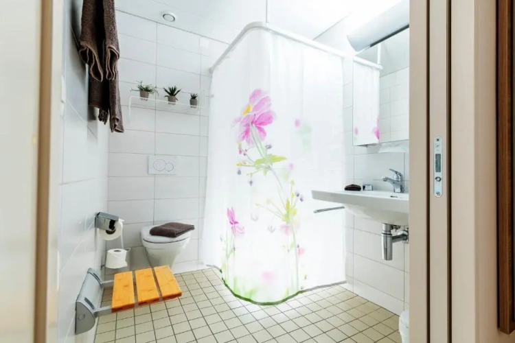 Standard Single room with balcony and with park view