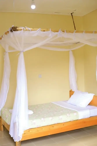 Economy Single room with garden view