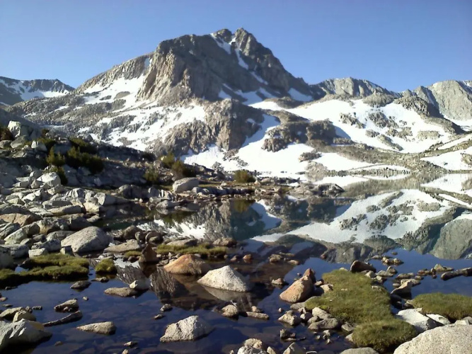 Mountainback #74