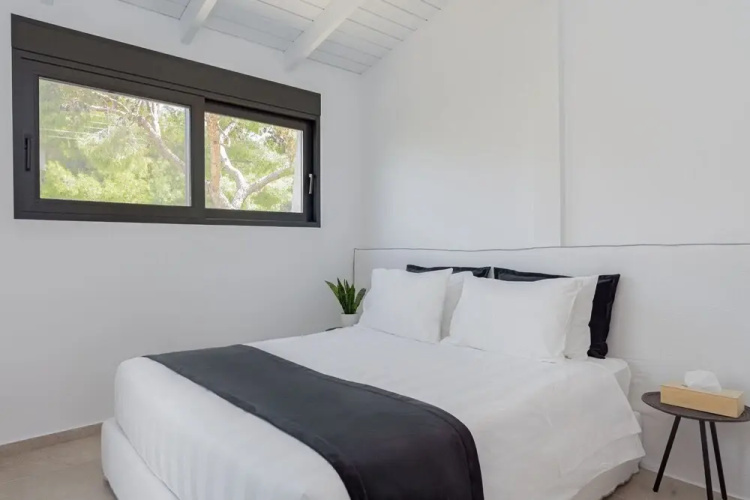Athenian Black Villa