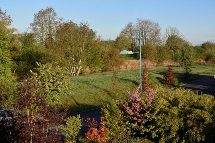 Standard Double room with garden view