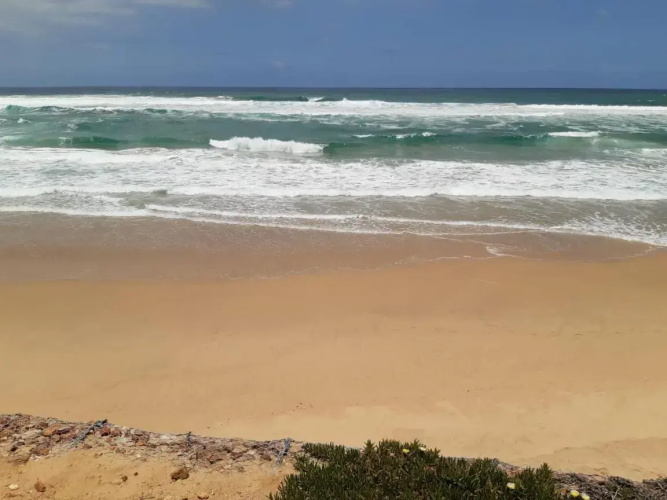 King Protea Self Catering Flat