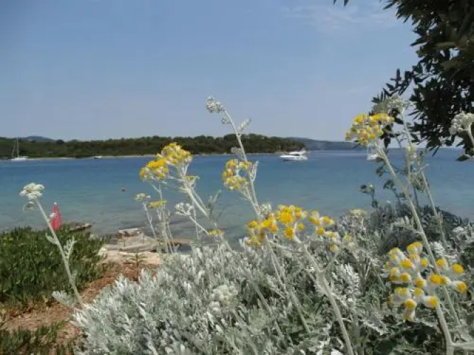 House by sea