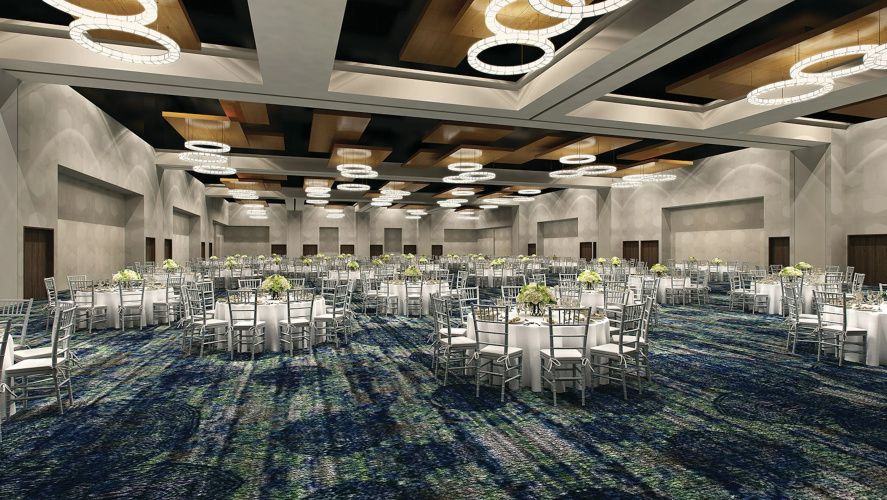 Embassy Suites by Hilton Denton Convention Center photo 18