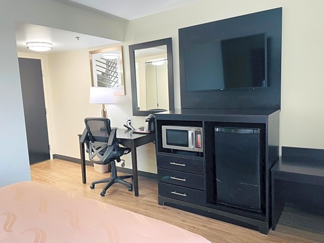 Superior Quadruple Suite