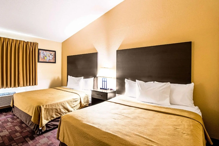 Quadruple Suite