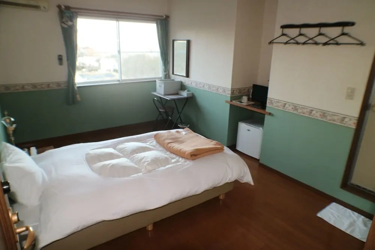 Standard Single room with ocean view