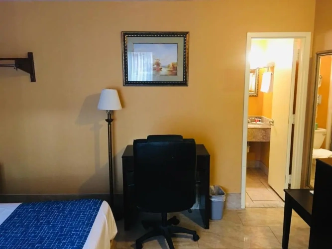 Twin Suite
