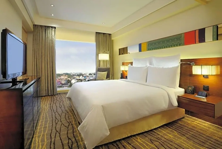 Executive Double Suite