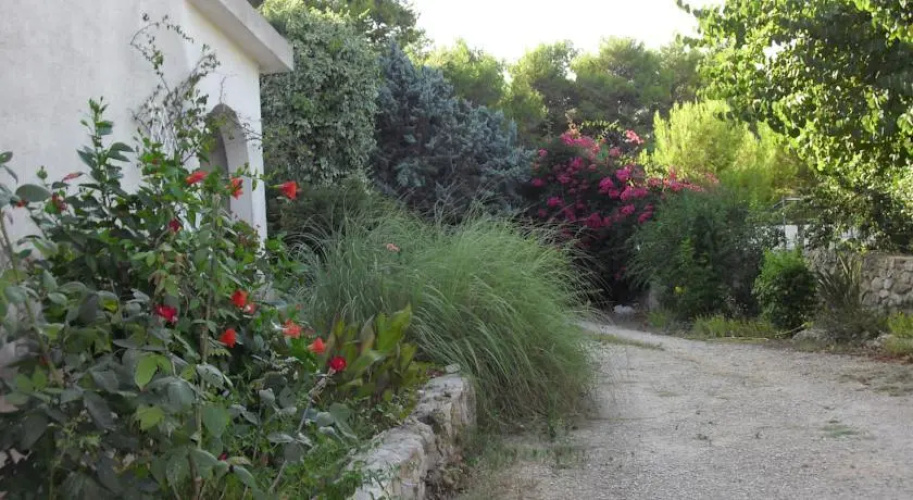 B&B Salento