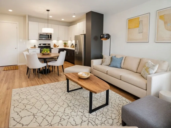 1 Bedroom Apartment