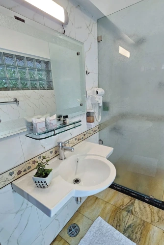 1 Bedroom Executive Double room