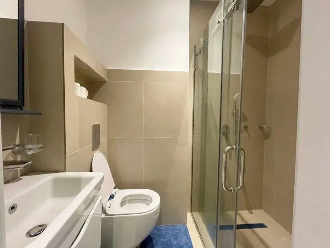 Luxury Apartment