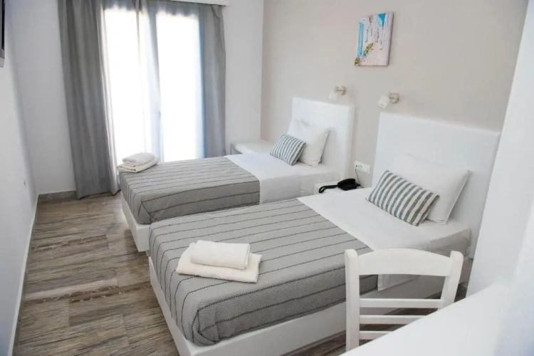 Executive Twin room with garden view