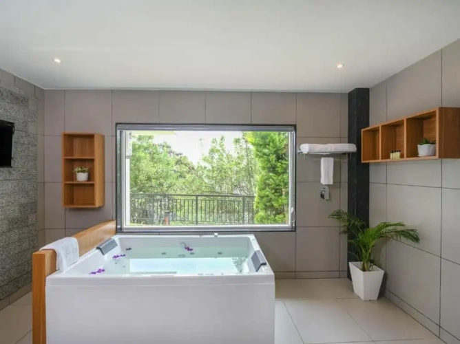 Premium Double room with balcony and with mountain view