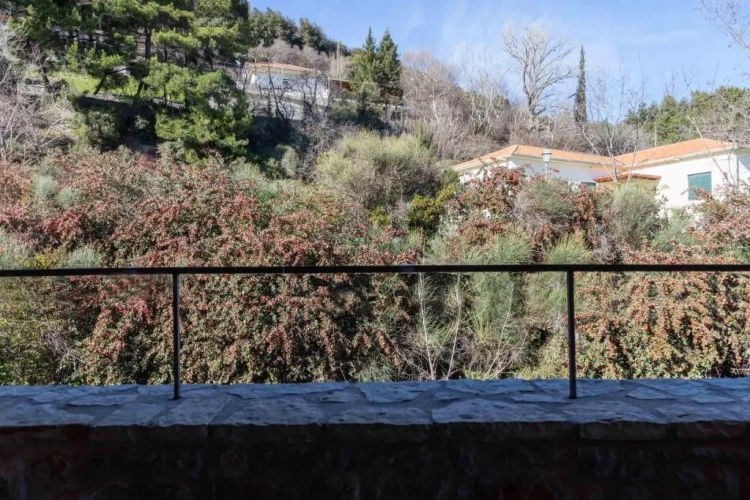 Standard Twin room with balcony and with view