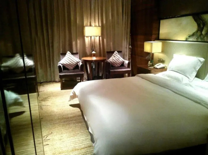 Wuhu Starlight Puli Hotel