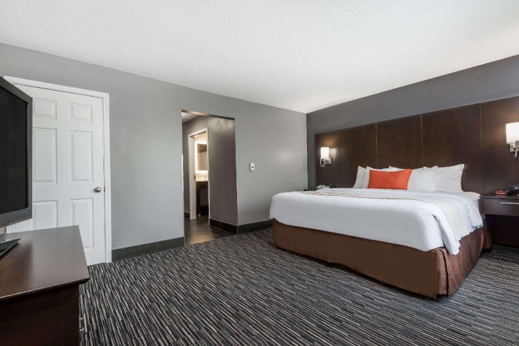 1 Bedroom Double Suite