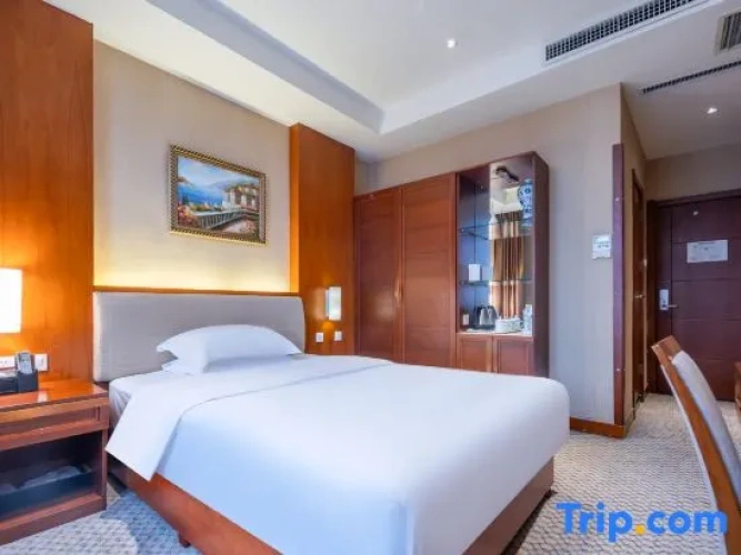 Standard Double room with city view