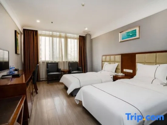 Standard Twin room with view