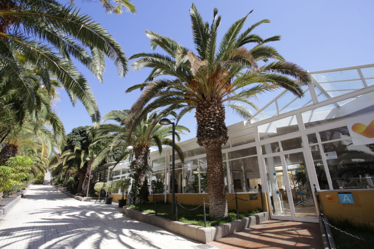 Checkin Bungalows Atlantida photo 16