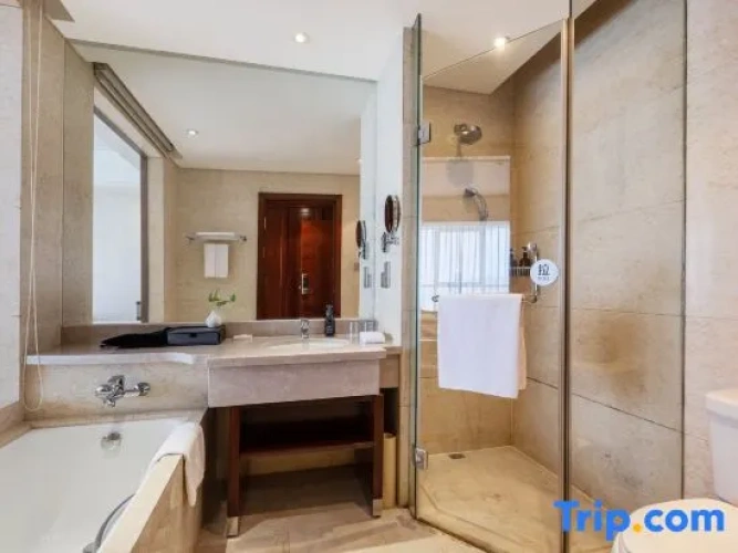 Business Double room with city view