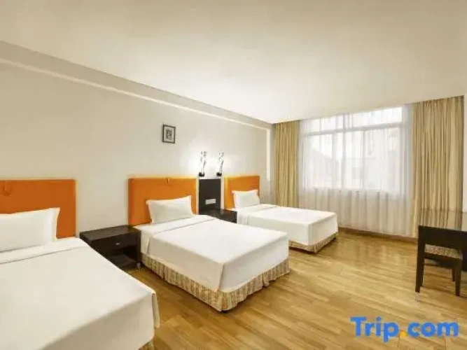 1 Bedroom Deluxe Triple Suite